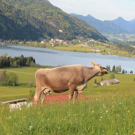 Strobl