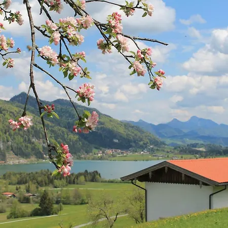 Strobl Chalet